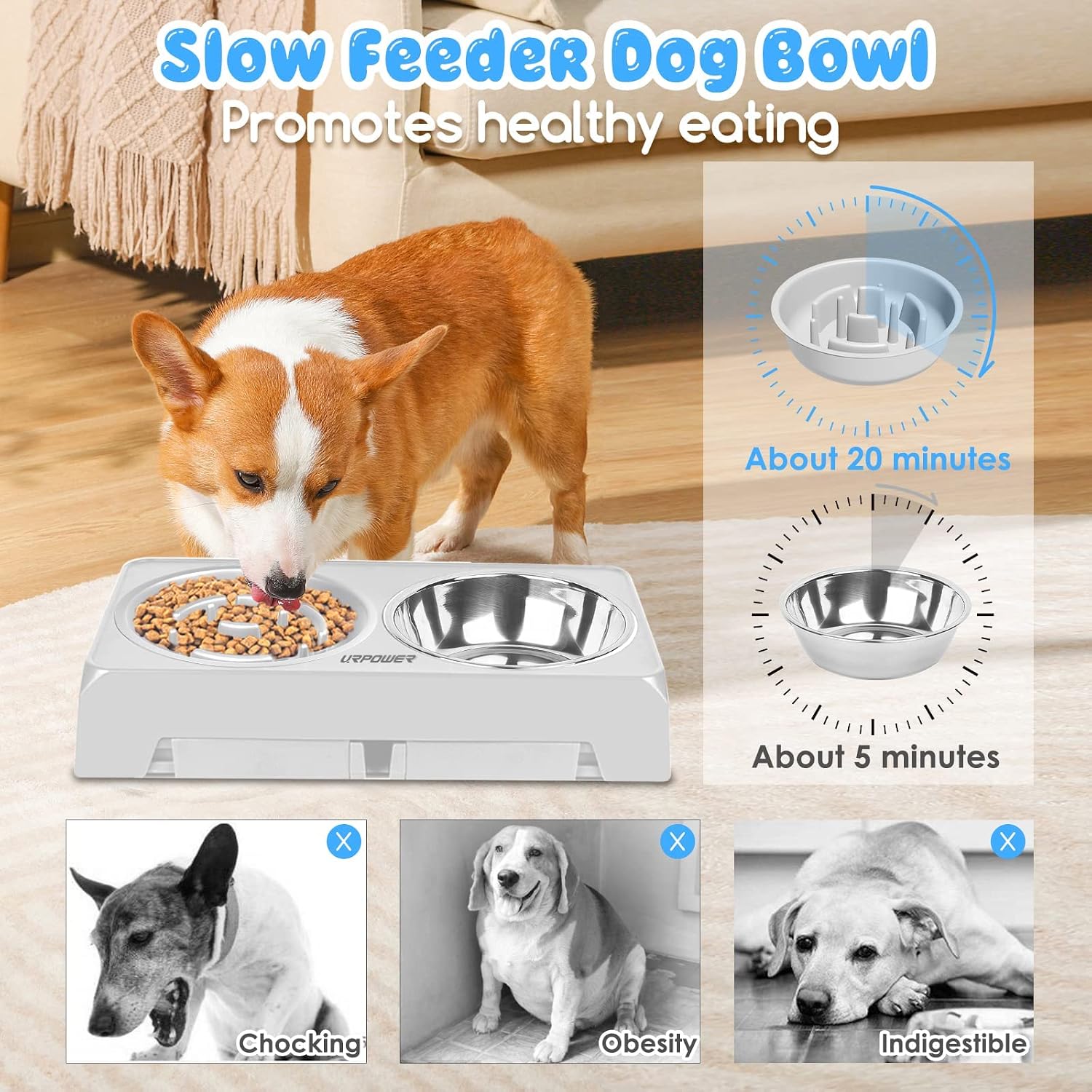 URPOWER Raised Slow Feeder Dog Bowls 4 Height Adjustable Elevated Dog Bowls with Stainless Steel Dog Water Bowl and Dog Slow Feeder Non-Slip Dog Food Bowls Stand for Small Medium Large Dogs and Pets