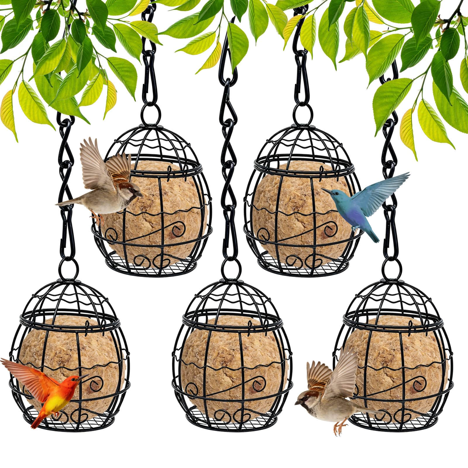 Bird Feeder, 5 Pcs Bird Feeders Hanging Station with 5 S-Shaped Hooks, Fat Ball Feeder for Outdoor Garden Wildlife Birds Finch Sparrow Robin Suet Ball Feeders (Black)