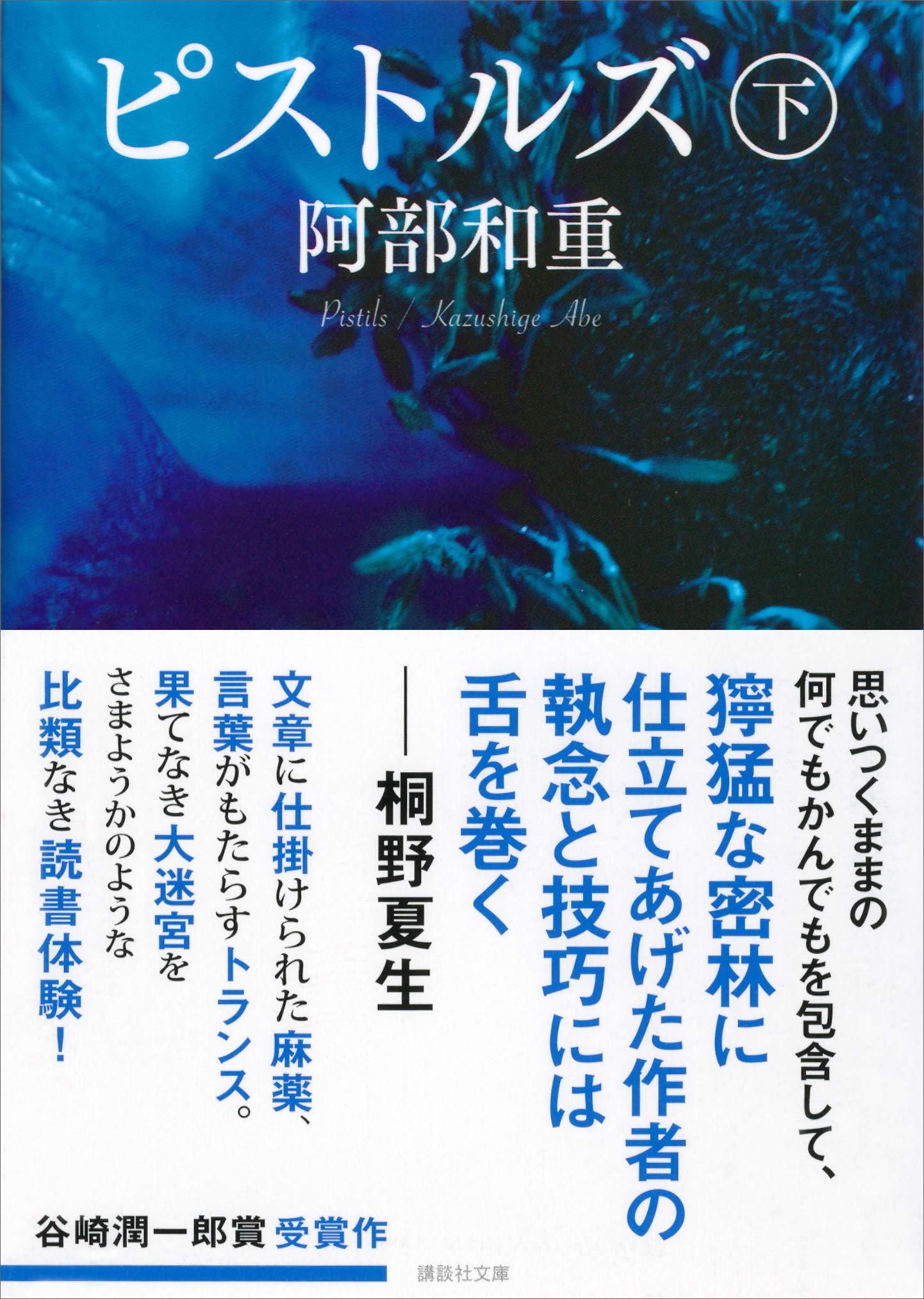 Amazon.co.jp: 阿部 和重: 本、バイオグラフィー、最新アップデート