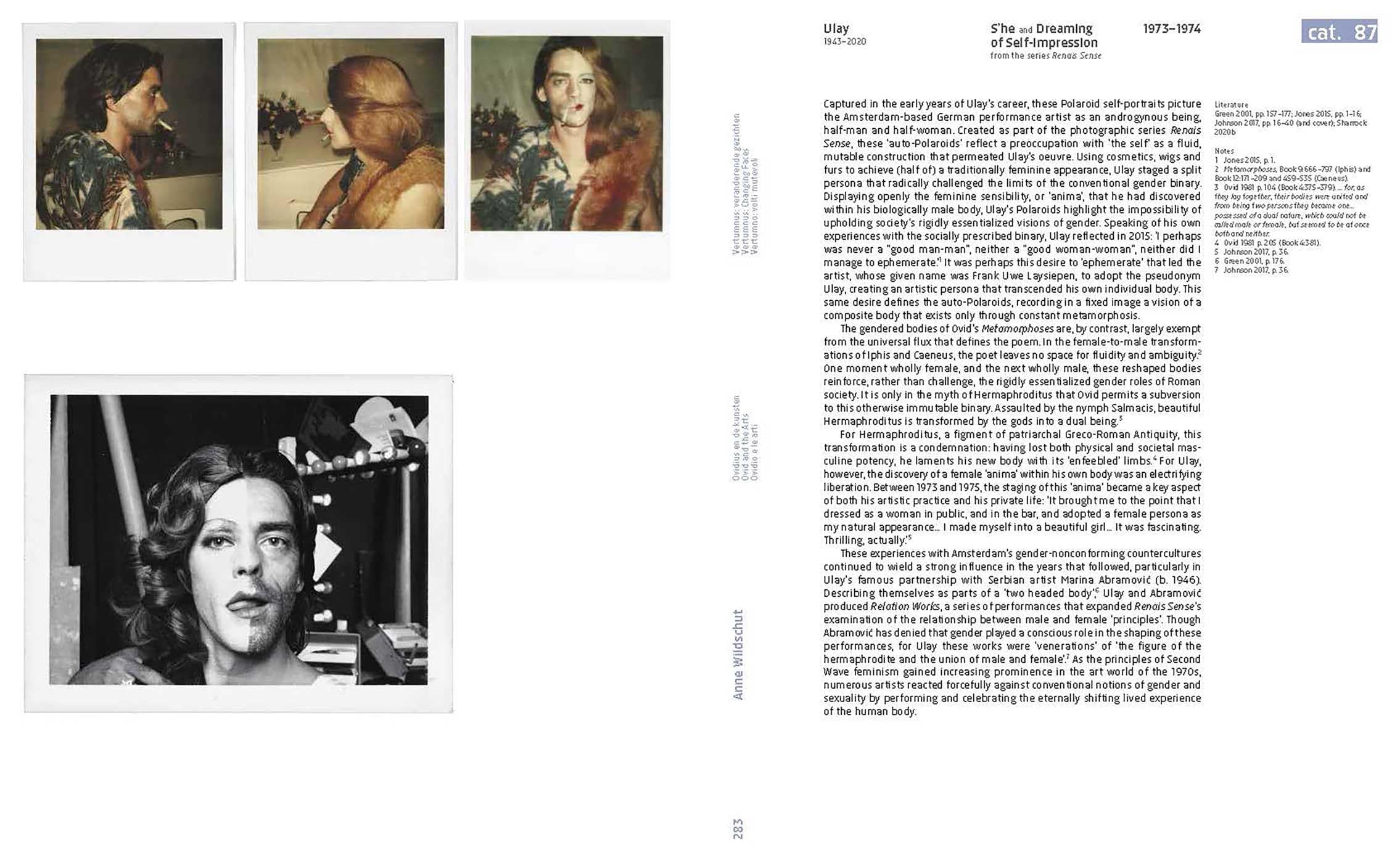 Metamorphoses : Ovid s Art /anglais