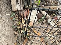 Review Image by Bezli Bezli