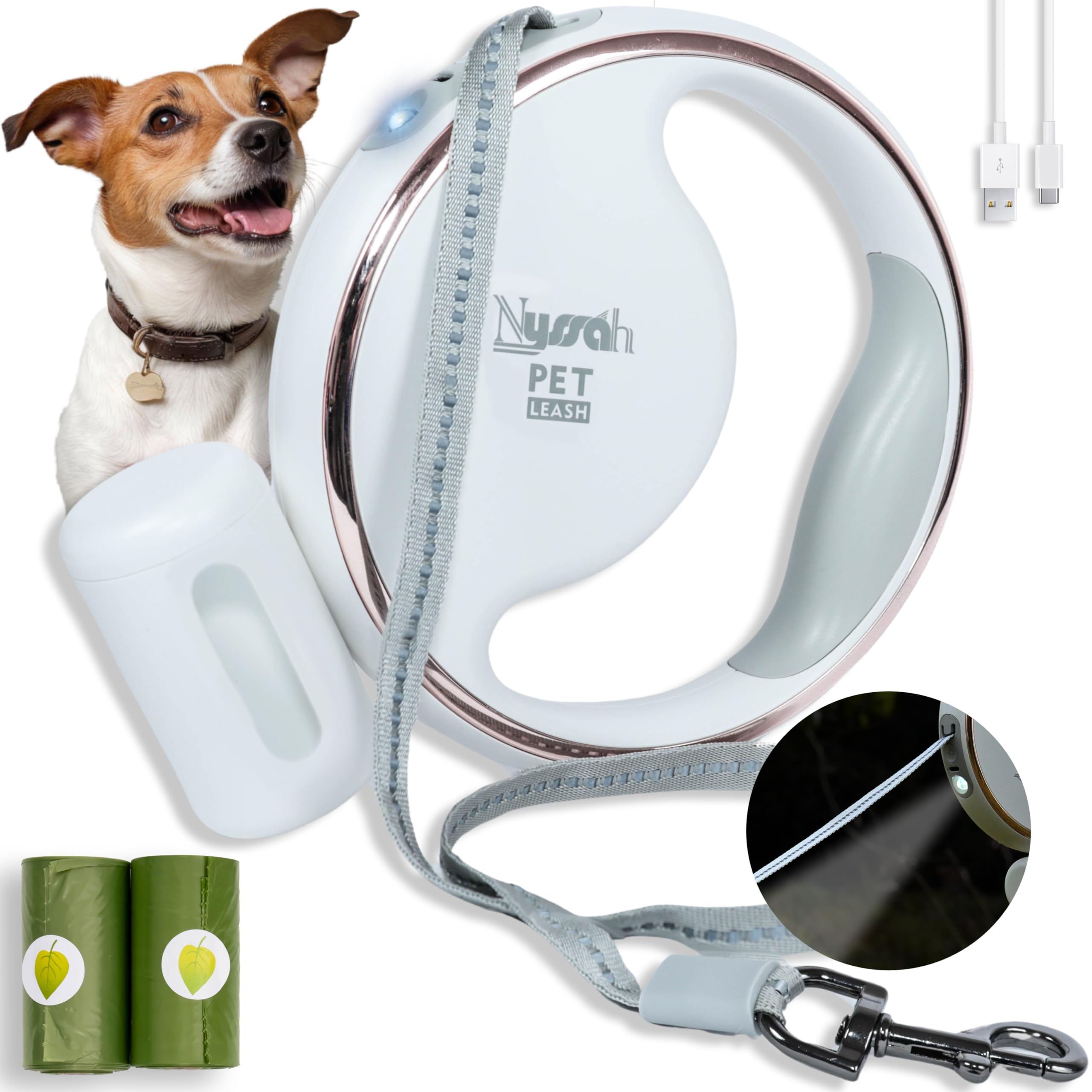 Laisse rétractable pour chiens avec lampe LED, idée cadeau maître