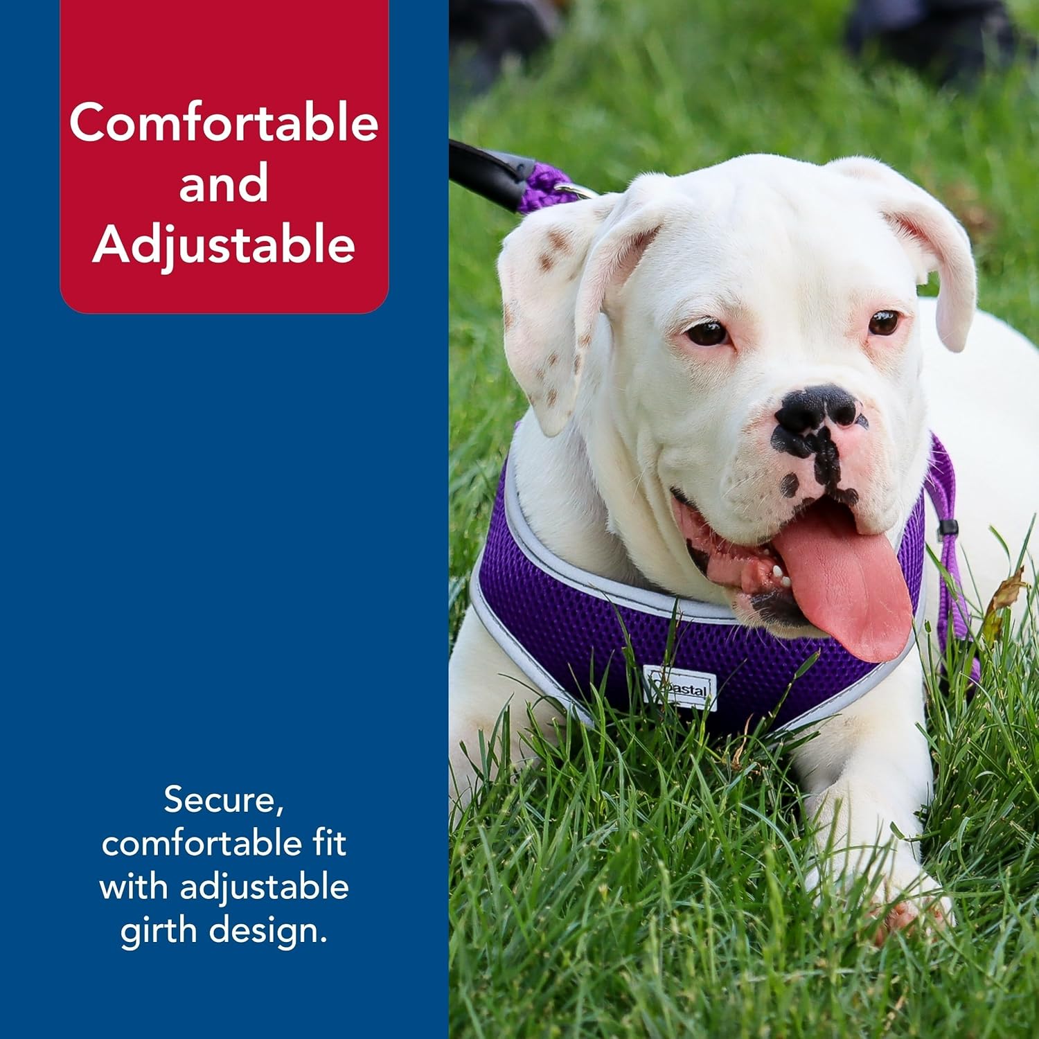 Coastal Pet Comfort Soft Reflective Wrap Adjustable Dog Harness - No-Pull Dog Harness for Small & Large Dogs - Purple - 5/8" x 16"–19"