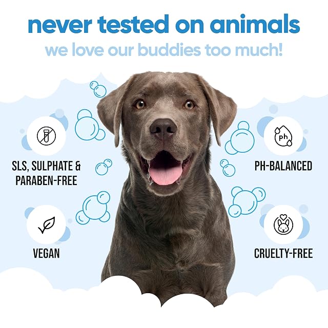 Foto 5 de 7 de Buddycare Champú para Perros