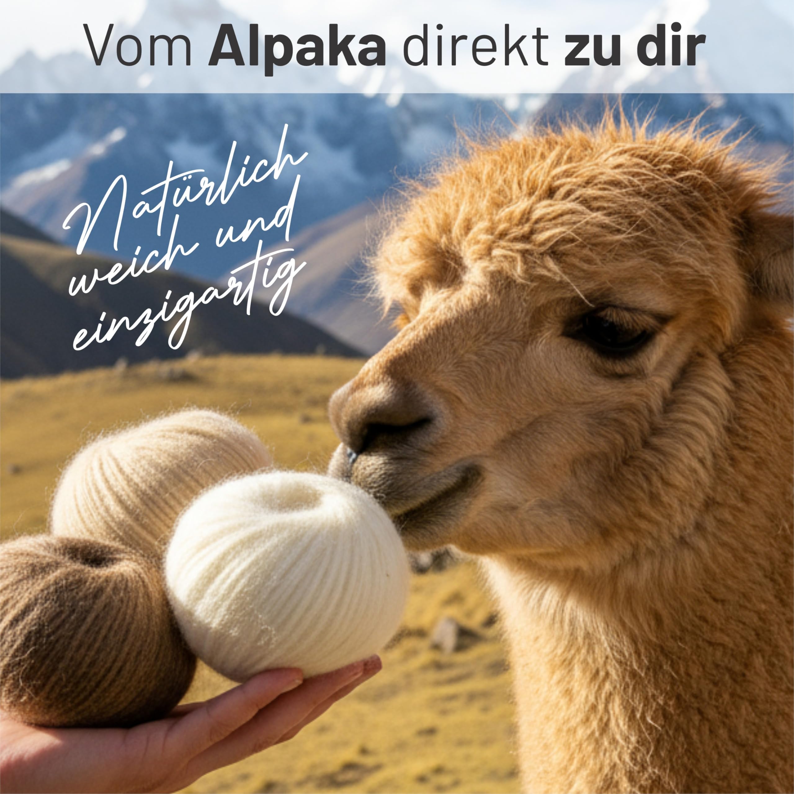 HANSA-FARM | Alpawool Baby Alpaca Light 100 DK nel set da 6 - lana leggera e antigraffio per maglia e uncinetto - Mix colorato
