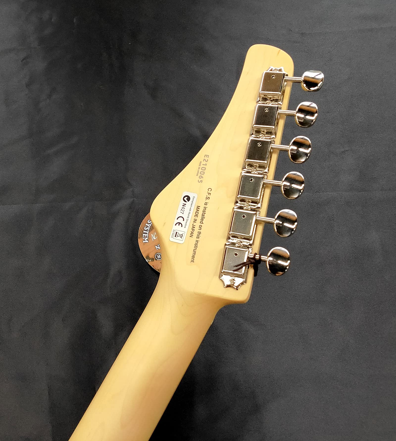 Amazon | フジゲン BIL2-M-HS/SLM/02 Boundary ILIAD シリーズ エレキ