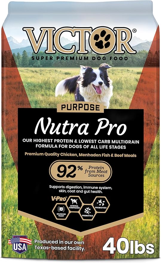 Amazon - Auto - News Image