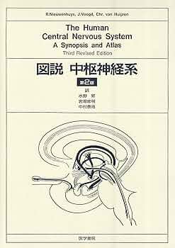 ネッター医学図譜脳・神経系 2 学生版 ネッター医学図譜 脳・神経系 II 学生版