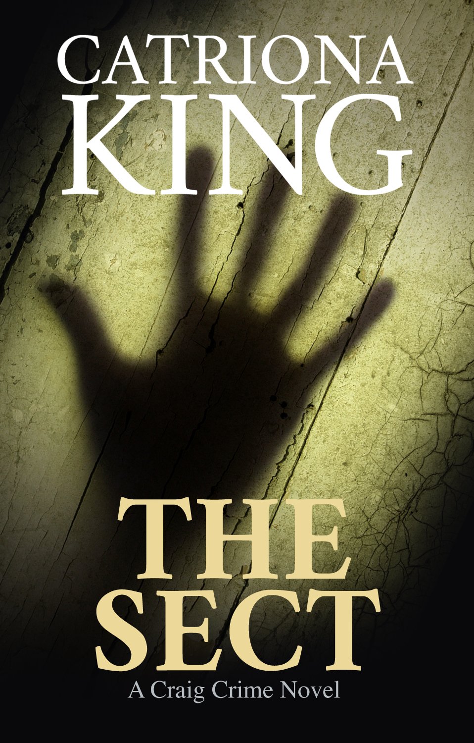 The Sect (The Craig Crime Novels Book 11)