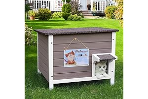 Insulated Outdoor Cat House: A Warm Home for Feral Cats in Harsh Weather