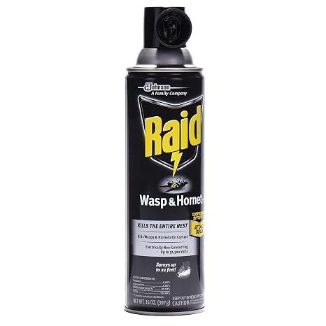 Raid Wasp and Hornet Killer Spray, 14 oz(pack of 3)