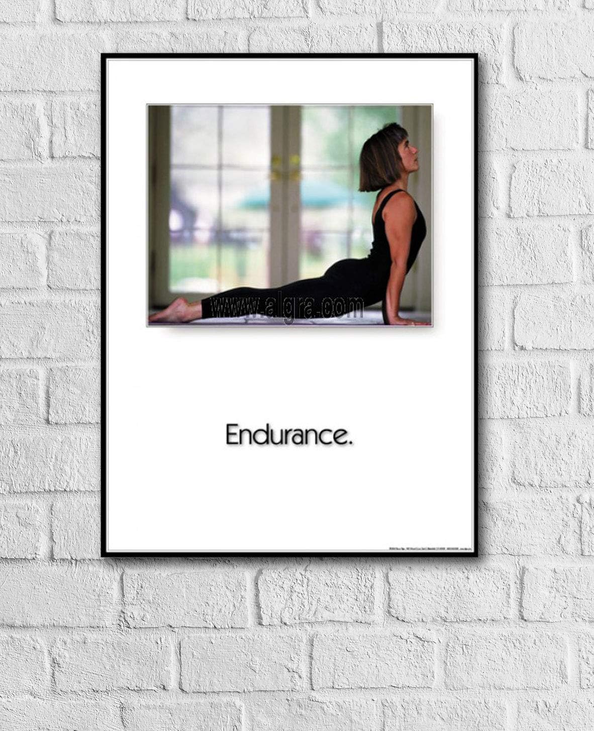 Endurance 18" X 24" Laminated Yoga Poster