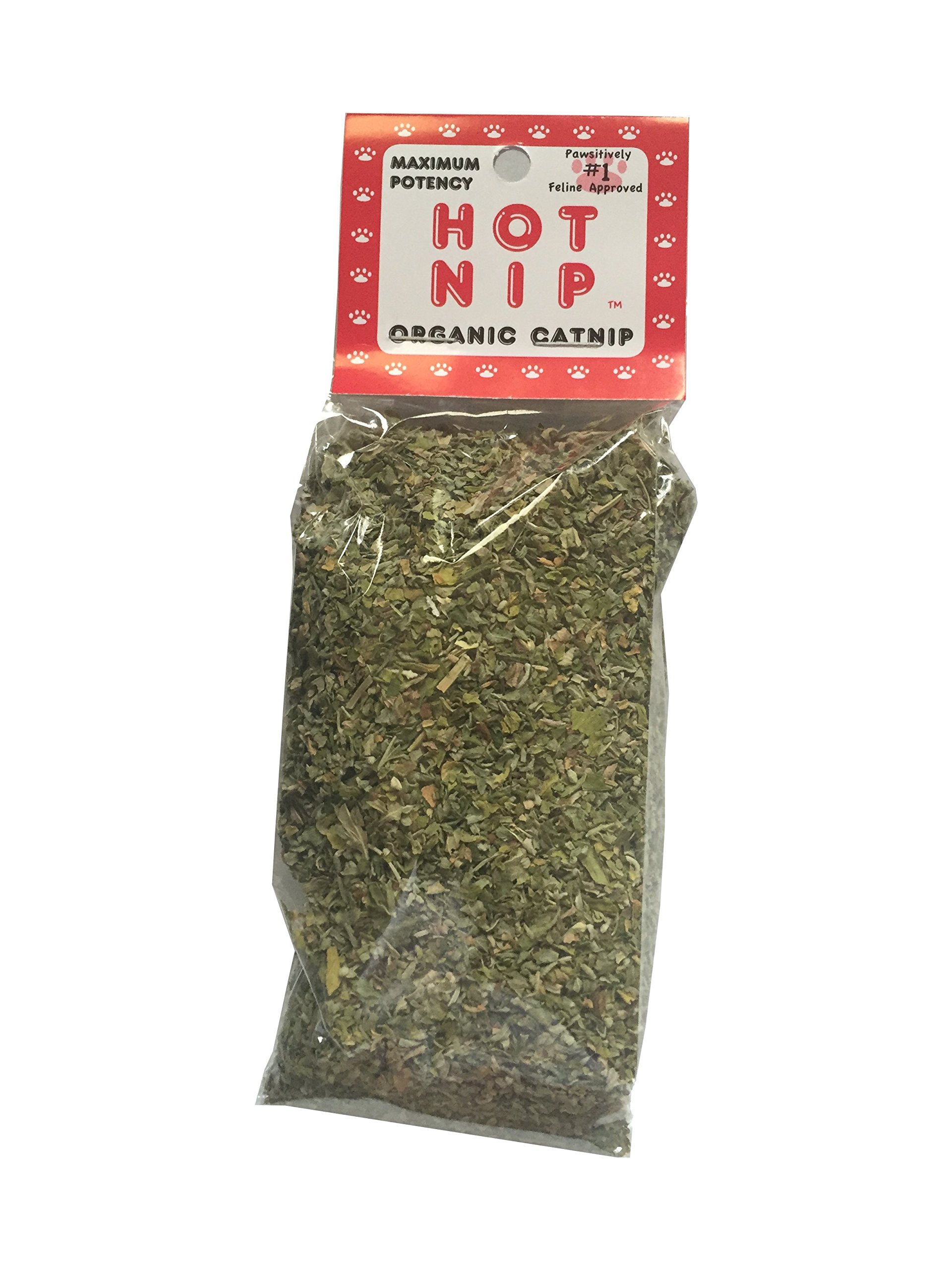 Full Circle Herb, kocimiętka dopuszczona przez koty, Hot Nip Bio kocimięta, 1 sztuka