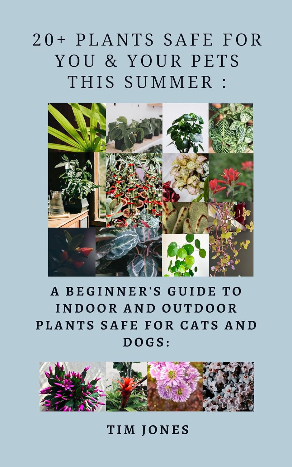 20+ Plants Safe for You & Your Pets this Summer A beginner's guide to indoor and
