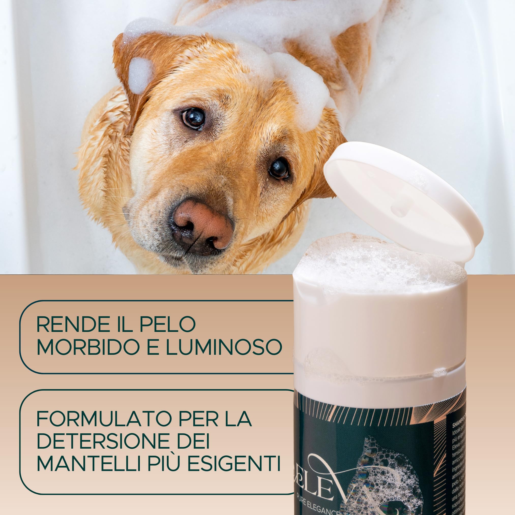 ELEVA PET - Shampoo Cani Pelo Lungo - all'Olio Essenziale di Lavanda con Vitamine - Ammorbidisce, Idrata ed Igenizza il Pelo - Milgiora Salute e Qualità del Pelo - Made in Italy - 1000 ml