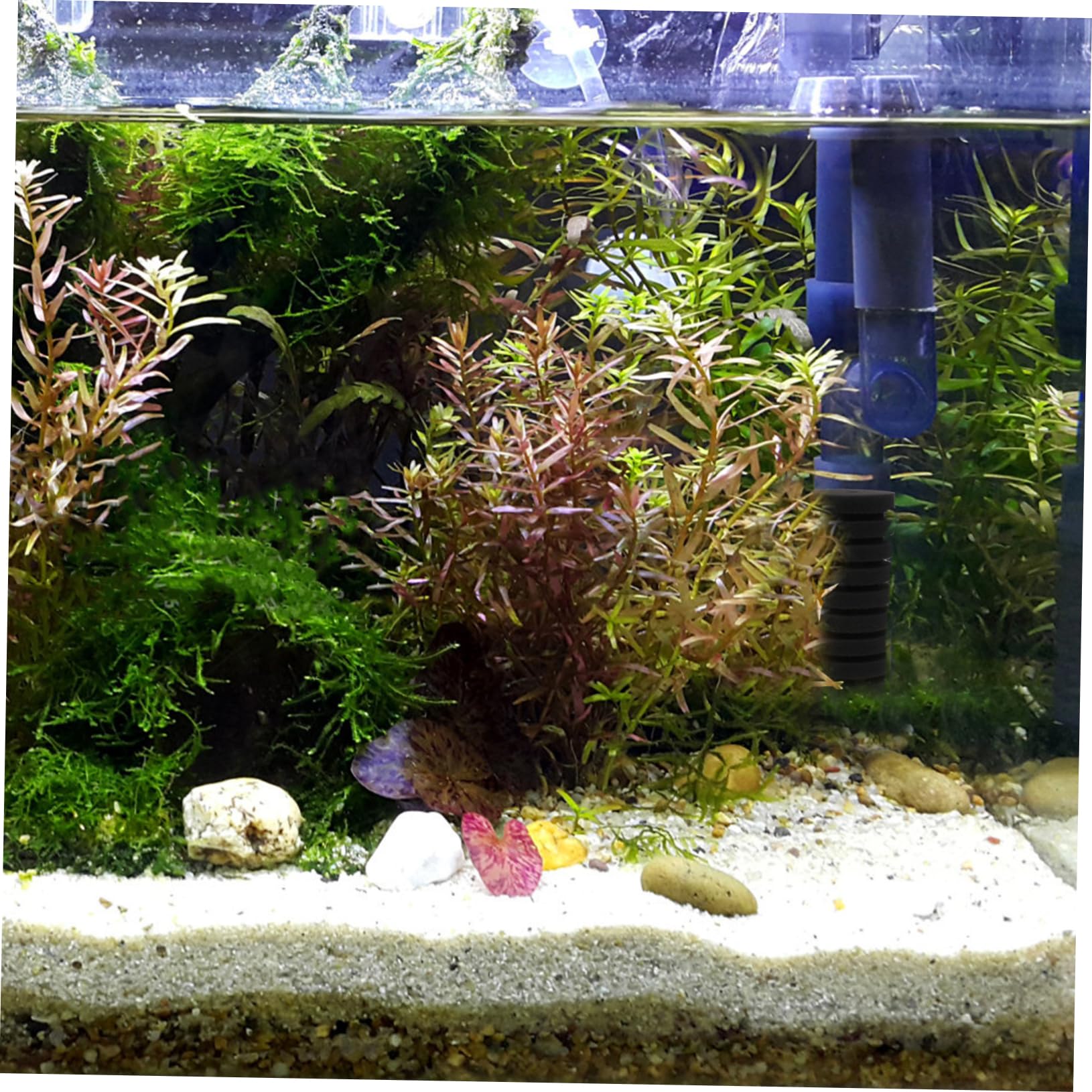4stücke Aquarium Filter Zubehör Austauschbare Reinigungs-schwämme Für Fischbecken Langlebig Leicht Zu Installieren Mit Feiner Verarbeitung Für Optimale Filterleistung