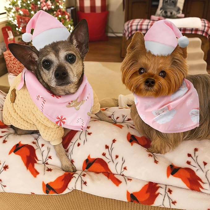 Set de 4 Accesorios Navideños para Perro Rosa: Bandanas y Gorros miniatura 2