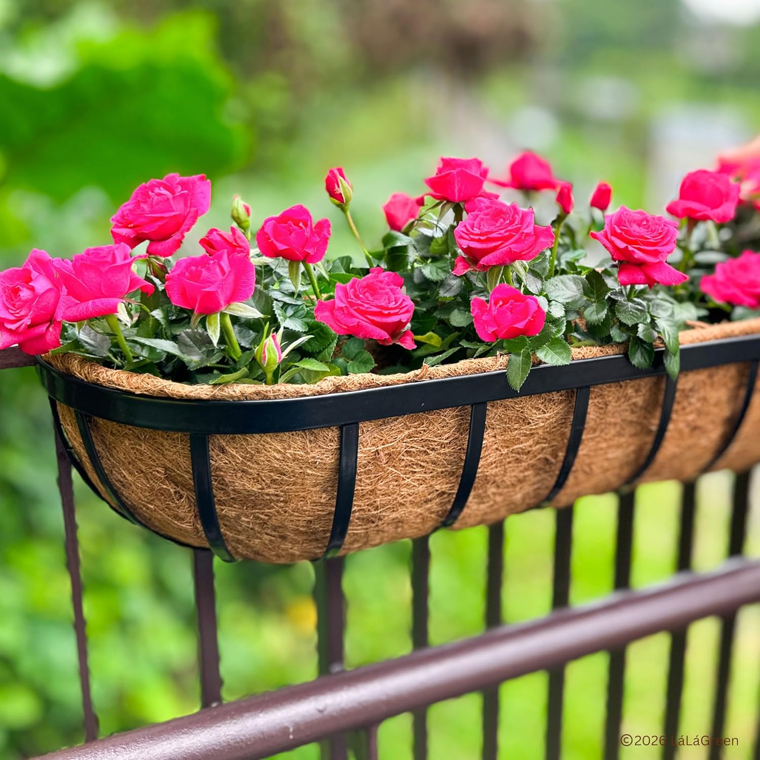 LaLaGreen 48" (4 Pack, Half Rounded Rectangular) Trough Coco Liners – Extra Large Coir Fiber Replacement for Window Box Planter, Wall Mount Outdoor Garden Pot–Available in Different Sizes and Shapes