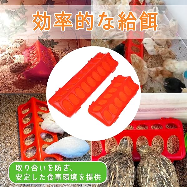 シャンディニー 小型鳥用 フィーダー 多穴 給餌器 フード 入れ ウズラ ニワトリ ケージ 多頭飼育20cm(12穴) - 4