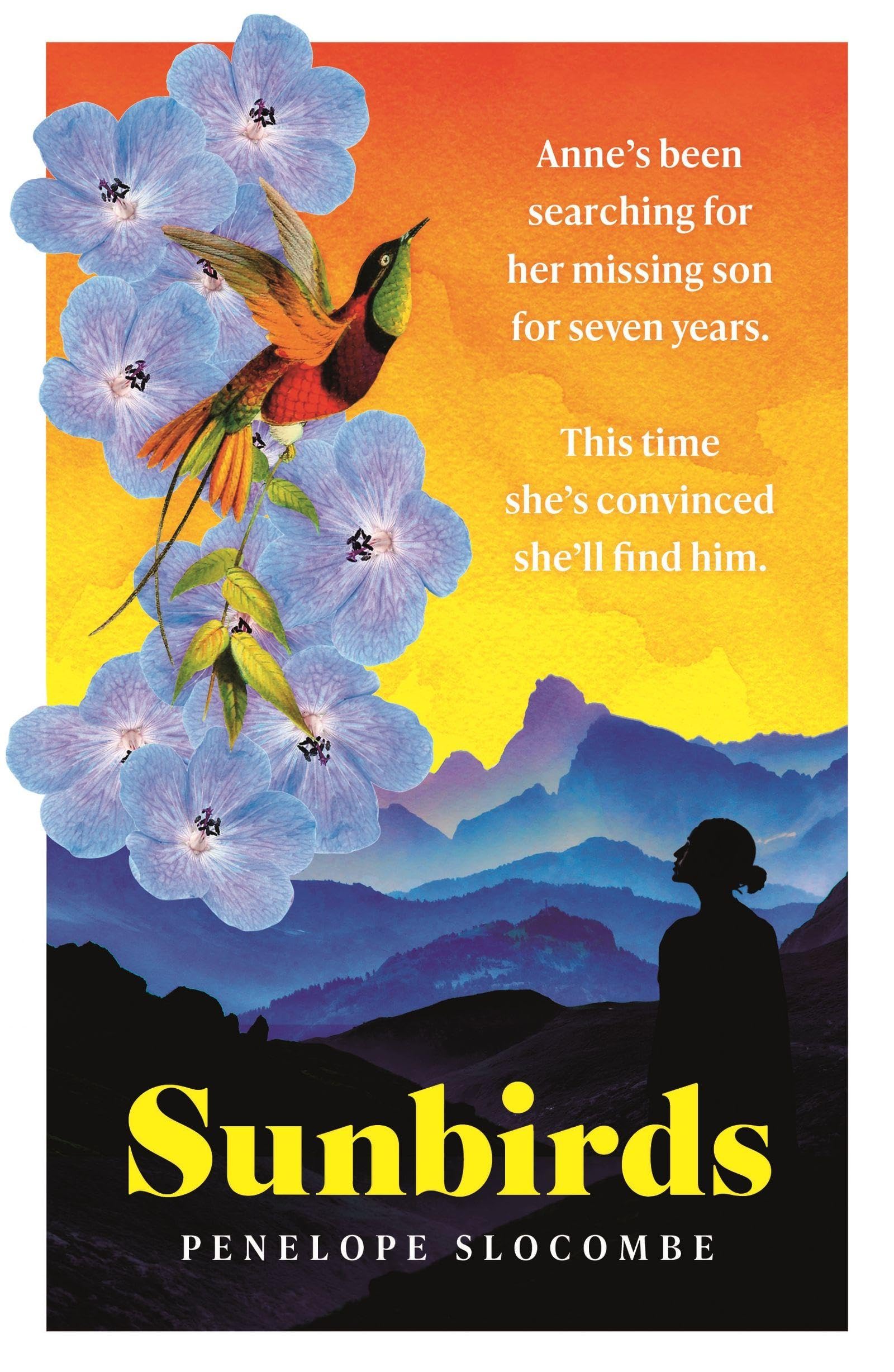 Penelope Slocombe Unisex Multicolor Sunbirds Book - Paperback