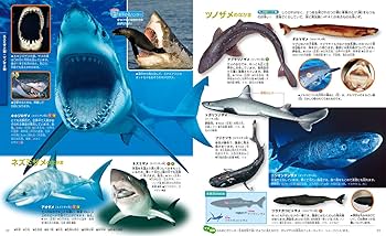 DVD付 魚 (講談社の動く図鑑MOVE) | 福井 篤, 講談社 |本 | 通販
