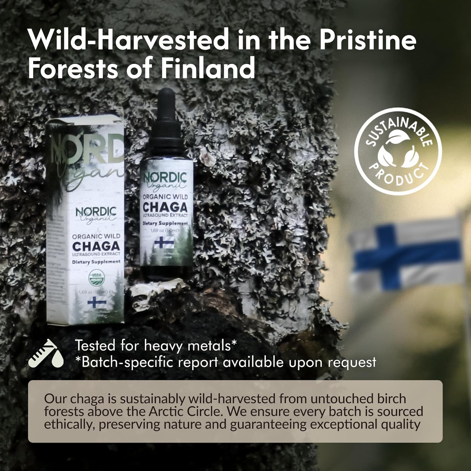 Chaga Organic Mushroom Extract - Next-Gen Ultrasound Extraction, Wild Harvested in Arctic Finland, 100% Fruiting Body, Ultra Potent Tincture for Immune, DNA & Gut Health Support, USDA Certified, 50ml - Image 6