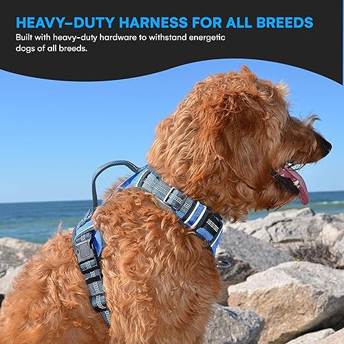 Miniatura 7 de Black Rhino - The Comfort Arnés para perro con chaleco acolchado de malla para razas pequeñas y grandes  Ajustable  Reflectante  2 accesorios de