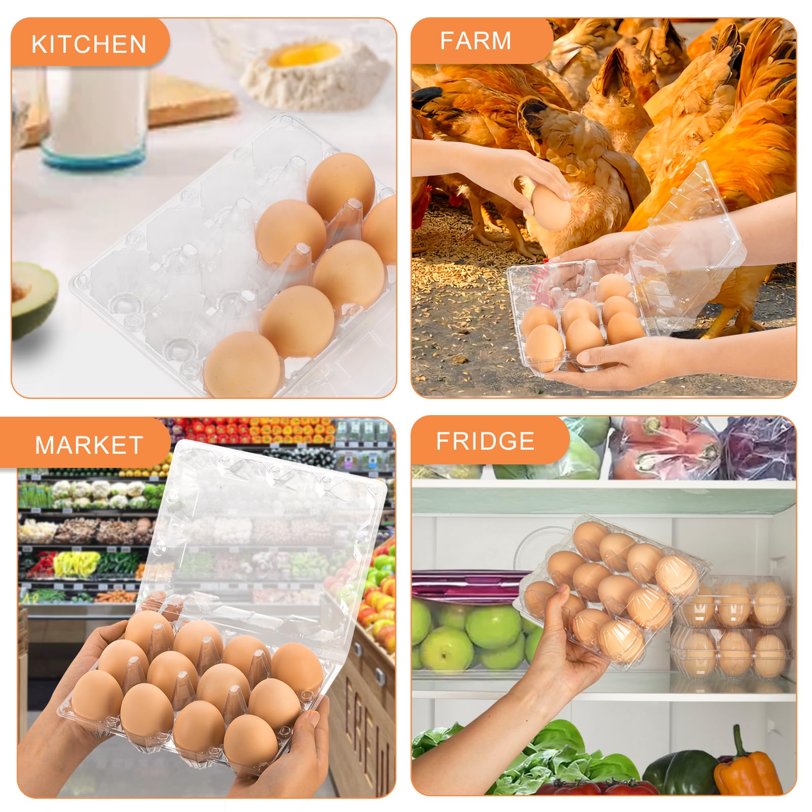 Confezione da 60 cartoni per uova, in plastica, 3 x 4, economici sfusi per 12 uova, ideali per frigorifero, allevamento di polli, mercati degli agricoltori e esposizione commerciale
