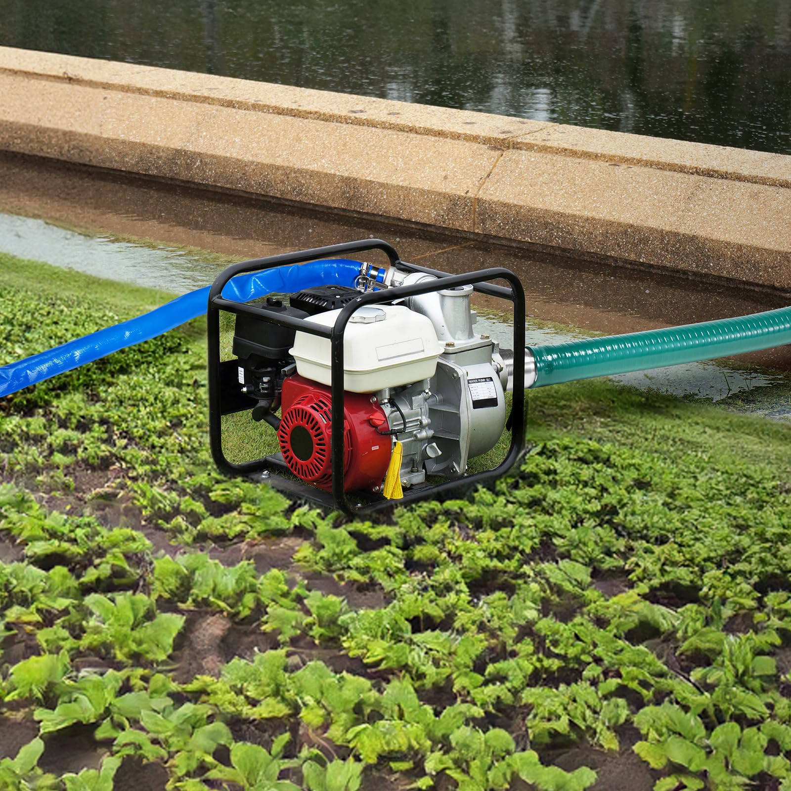 VEVOR Kit de Manguera de Succión para Bomba con Manguera de Retrolavado Azul de 50,80mmx15,24m, Manguera de Succión Verde de 6,1 m y Filtro de Orificio Redondo de Acero, Levas, Abrazaderas, Adaptador