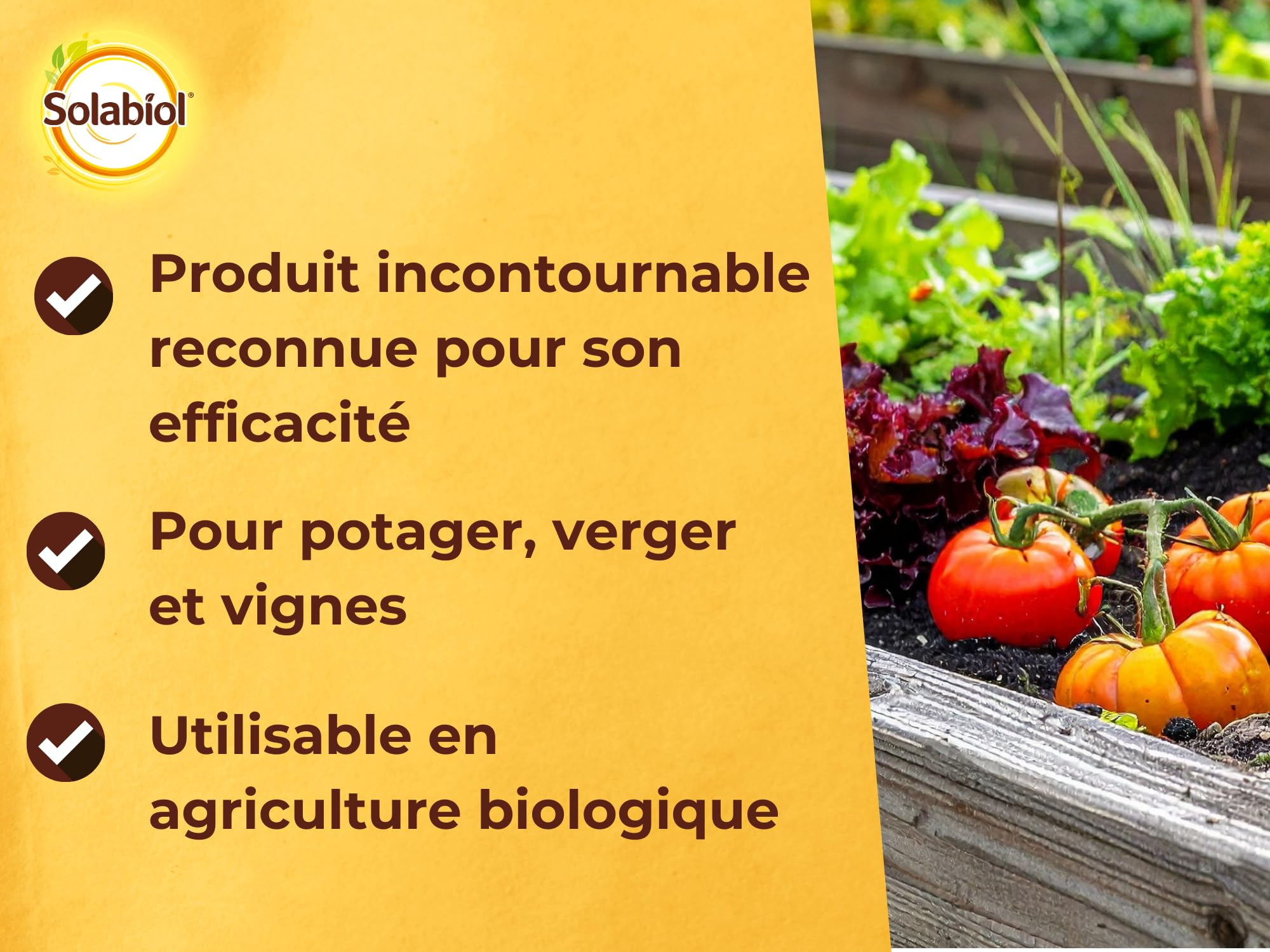 SOLABIOL Bouillie Bordelaise - Sachets Hydrosolubles - 50L de Solution 200g | Fongicide Polyvalent - Préventif - Mildiou, Tavelure, Cloque du Pêcher - Non Colorée - SOBOU200S