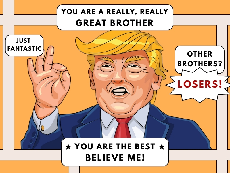 Gifts for Brother from Sister, Birthday Gift for Adult Older Bro, You Are A Really Great Brother Mug Tumbler 14Oz - Insulated Coffee Cup with Lid and Gift Box