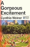 Cover of A Gorgeous Excitement: A Novel