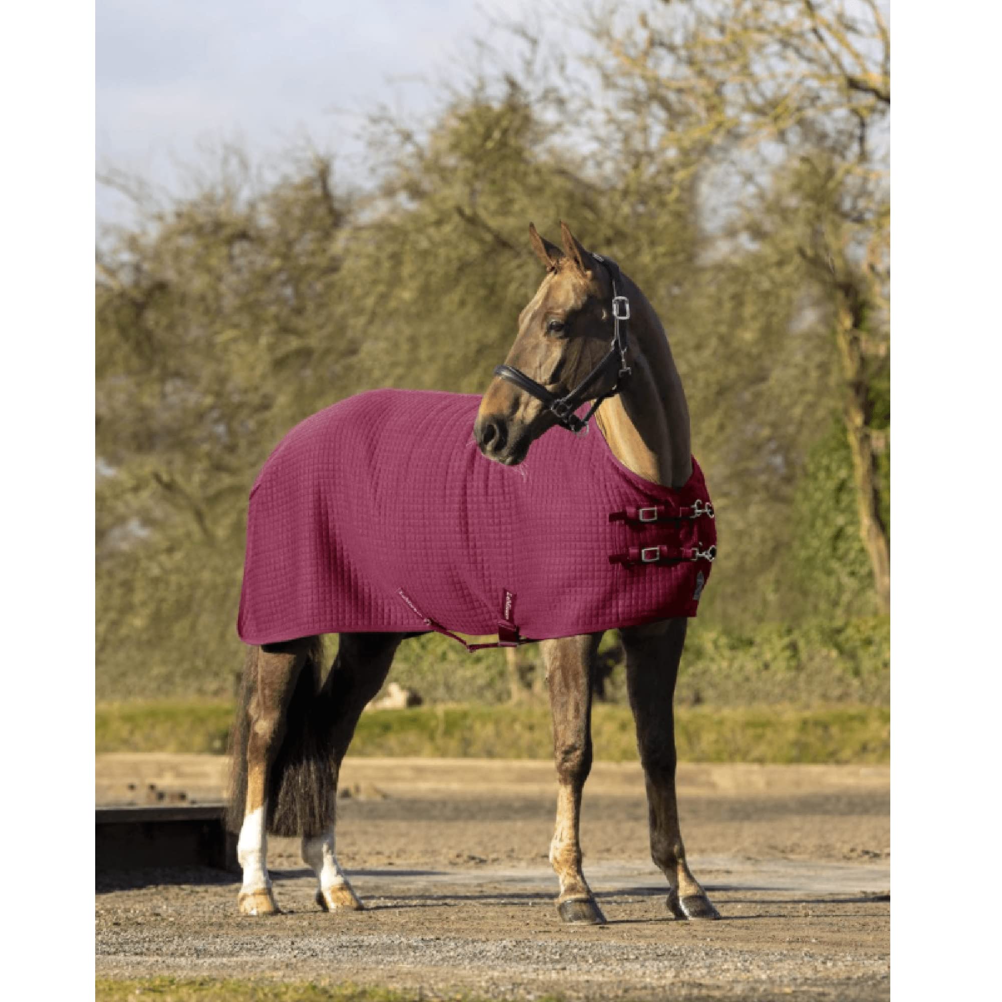 LeMieux Arika Clima-Tek Rug - Horse Cooler - Burgundy 6ft3