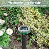 8 Pack Solar Mole Repellent, Ultrasonic Mole Repellent Solar Powered, Solar Mole Repellent Ultrasonic, Sonic Mole Deterrent Devices, Get Rid of Moles Snakes Gophers Vole for Lawn, Yards, Garden