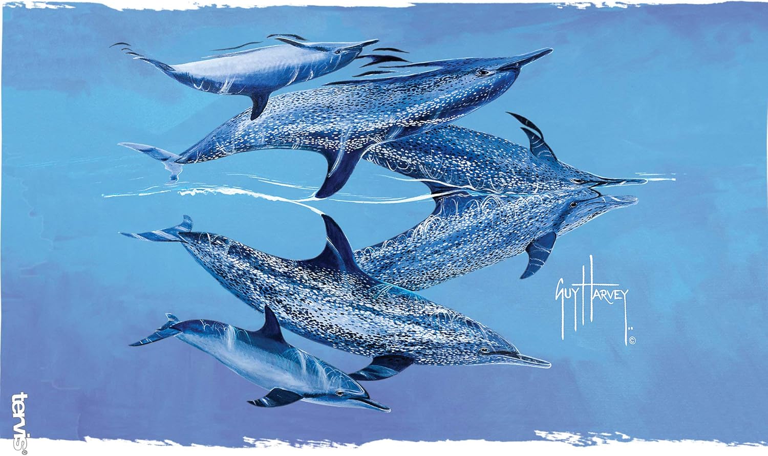 Tervis Made in USA Double Walled Guy Harvey Insulated Tumbler Cup Keeps Drinks Cold & Hot, 16oz, Blue Dolphins - Image 2