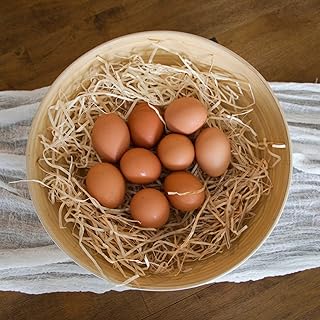 Ashland Natural Excelsior, 12 Pack