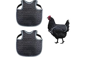 Chicken Back Protector: Ultimate Protection for Your Hens