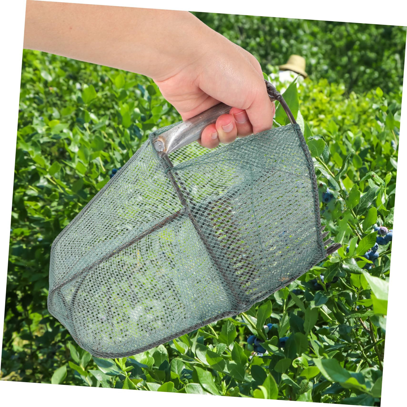 TOYANDONA Cueilleur de Myrtilles Vert Léger avec 16 Dents en Acier Inoxydable et Panier Pliable Cueillette Facile des Fruits Le Jardin