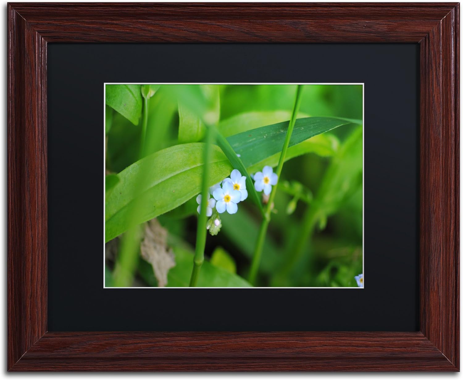 Limited Perfection by Monica Mize Wood Frame, 11" x 14", Black Matte Home & Kitchen
