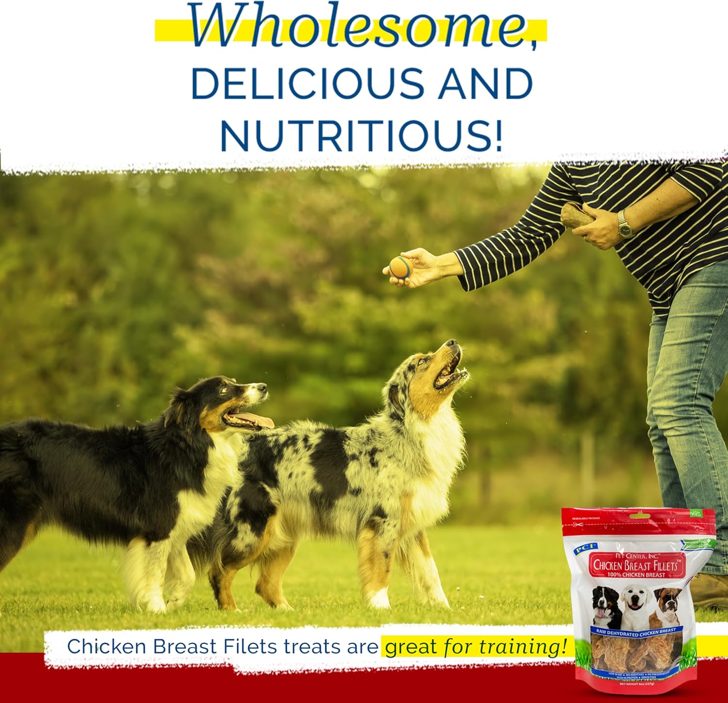 PCI - Pet Center Inc. - Chicken Filets - 100% Chicken Breasts - Dog Jerky - No Additives or Fillers - High Protein Dog and Puppy Treats - 16oz Container