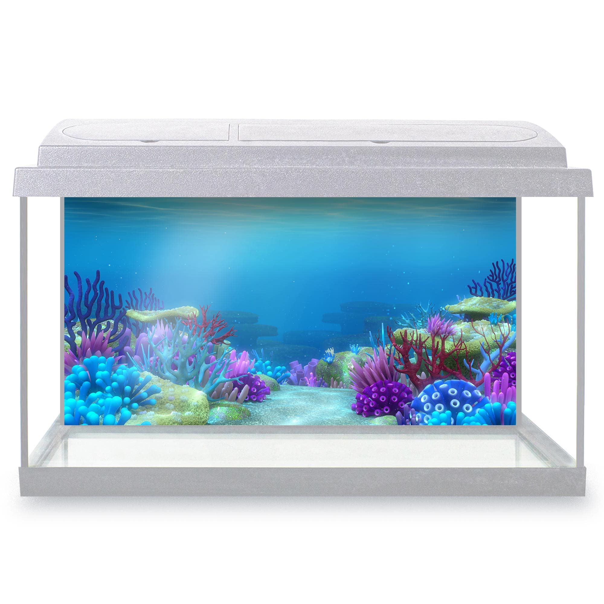 DV DESIGN Aquarium Fish Tank Background 80x40 cm - Colorful Coral Reef Ocean Underwater World Sea Marine Aquatic Static Cling Vinyl Vivarium Terrarium External Application #500023