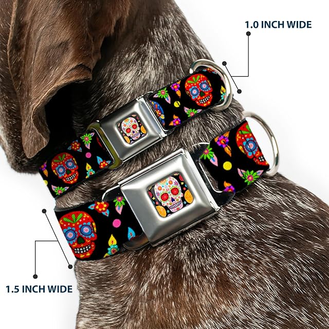 Foto 2 de 8 de Buckle Down 9 - 15 "Colorido Calaveras Negro/Multi Color Collar de Perro