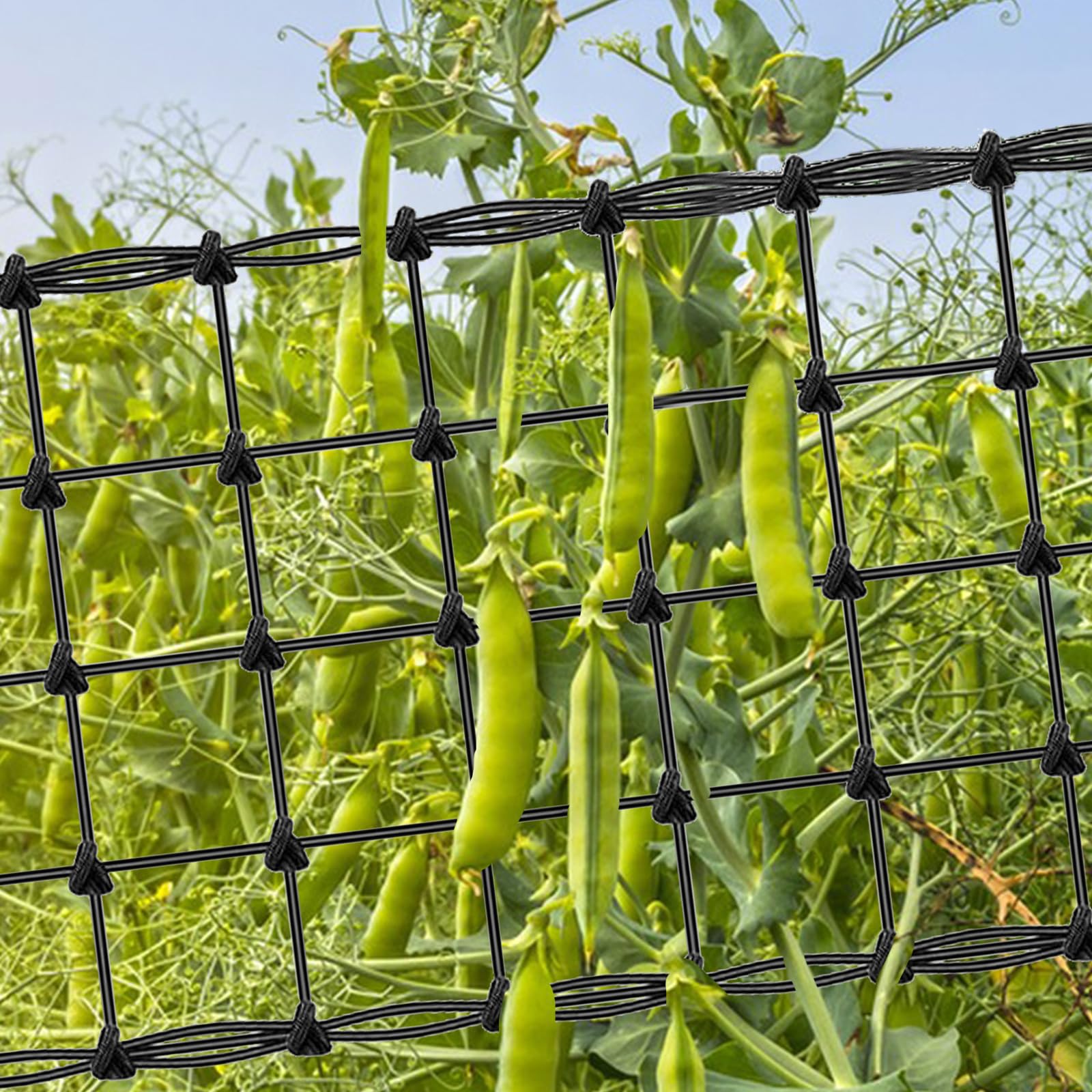 Red De Enrejado De 80 X 80 Cm, Red Scrog Con Ganchos, Red De Enrejado Para Jardinería, Red Para Plantas De Alta Resistencia, Red De Soporte Elástica | Leroy Merlin