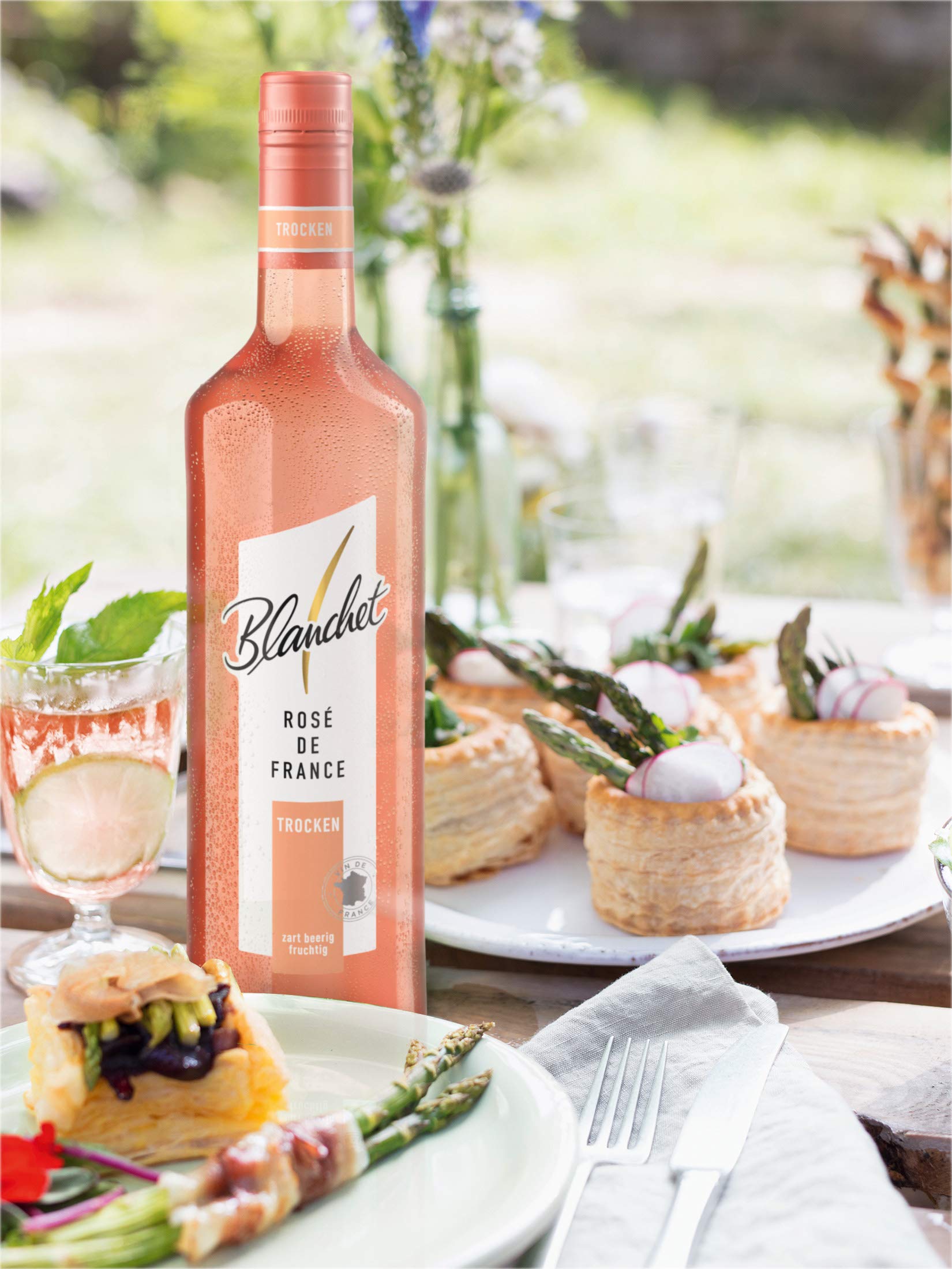 Blanchet Rosé de France Roséwein Trocken (6 x 0,75l)