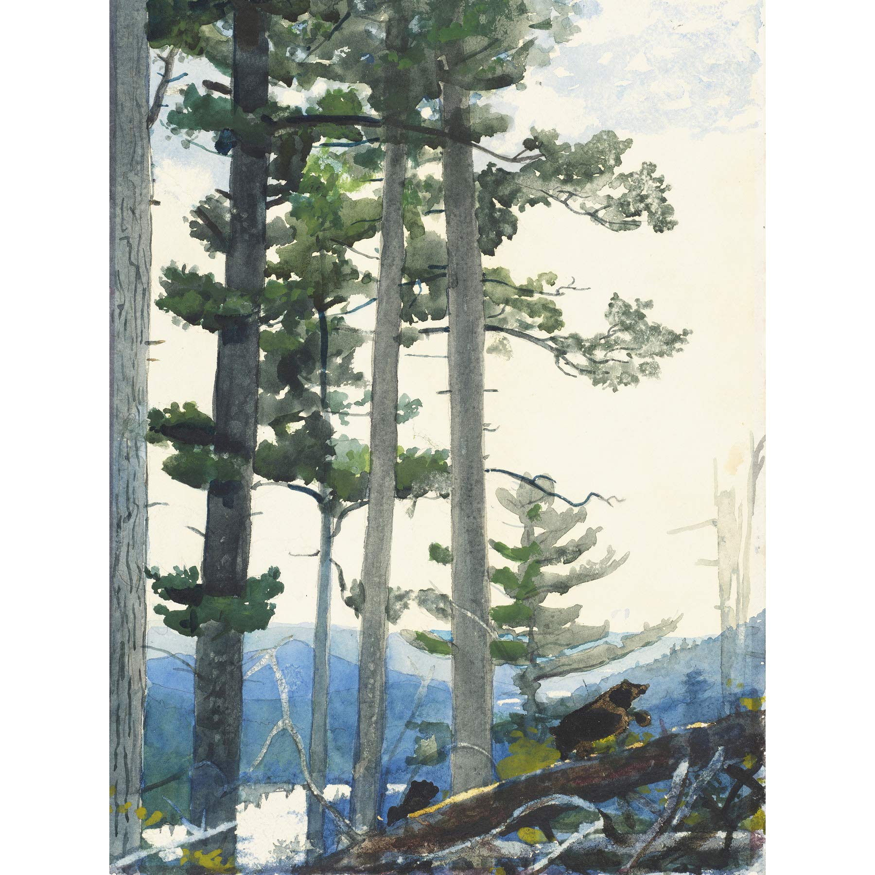 Winslow Homer Old Settlers Großer Kunstdruck Poster Wanddekoration Premium Wandbild