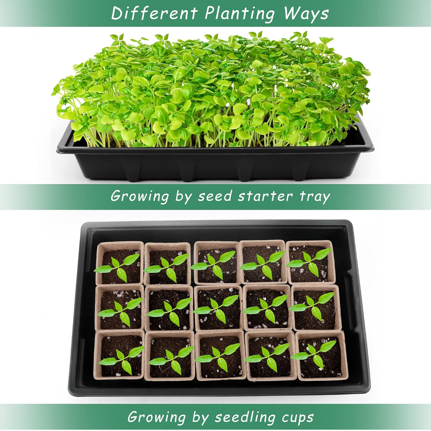 Hahood 4 Pack Seed Starter Tray Kit, 120 Square Seed Peat Pots for Seedlings with Plants Labels, Planting Tools, Plastic Growing Germination Trays with Lids for Indoor Outdoor Gardening, Black