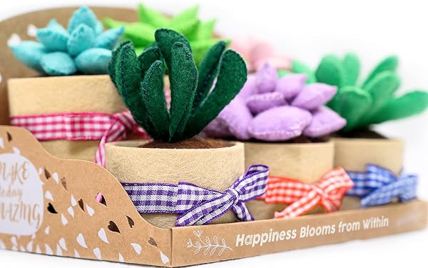 Felt Succulents Craft Kit. Make 6 Potted Colorful Plushies & A Display Rack. Mini Garden DIY Sewing Project, Activity Set, Arts & Crafts Supplies - Great Gift for Teens and Adults - 2