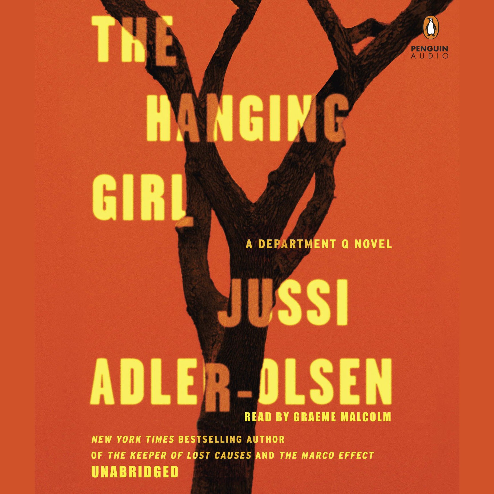 Cover art for The Hanging Girl