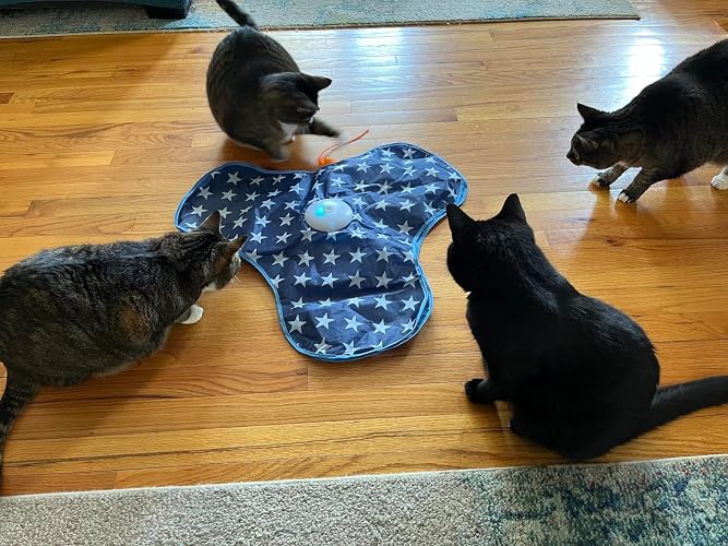 Review Image by Amazon Customer