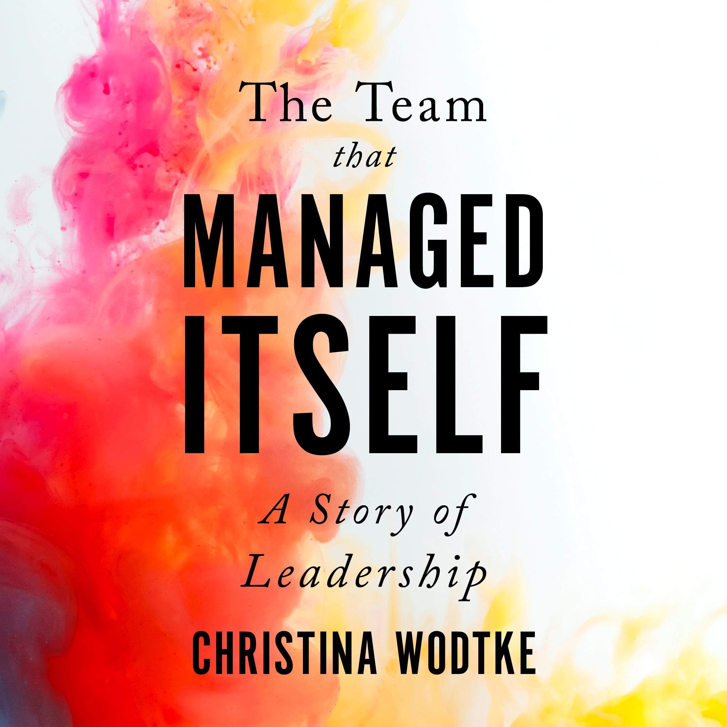 Cover art for The Team That Managed Itself: A Story of Leadership